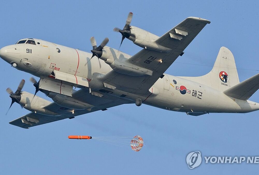 Усі пасажири літака, що впав у Південній Кореї, загинули