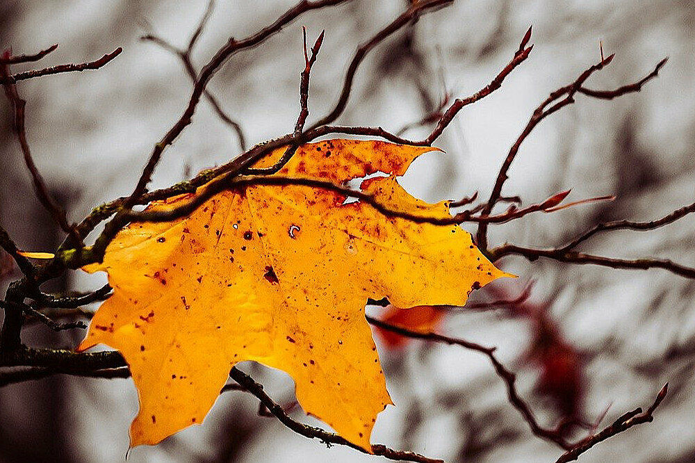 Осадки прекратились: прогноз погоды в Украине Осадки прекратились: прогноз погоды в Украине