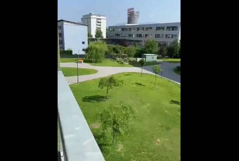 Число погибших в результате стрельбы в австрийской школе возросло до 11 человек