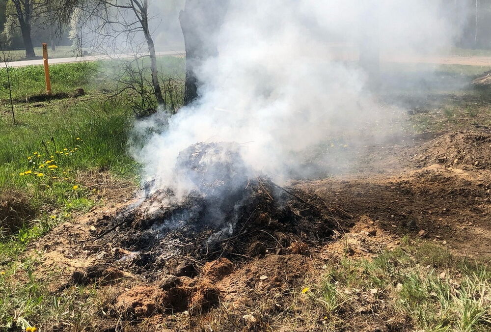 Спалювати суху траву в Україні заборонено: які штрафи за це передбачені
