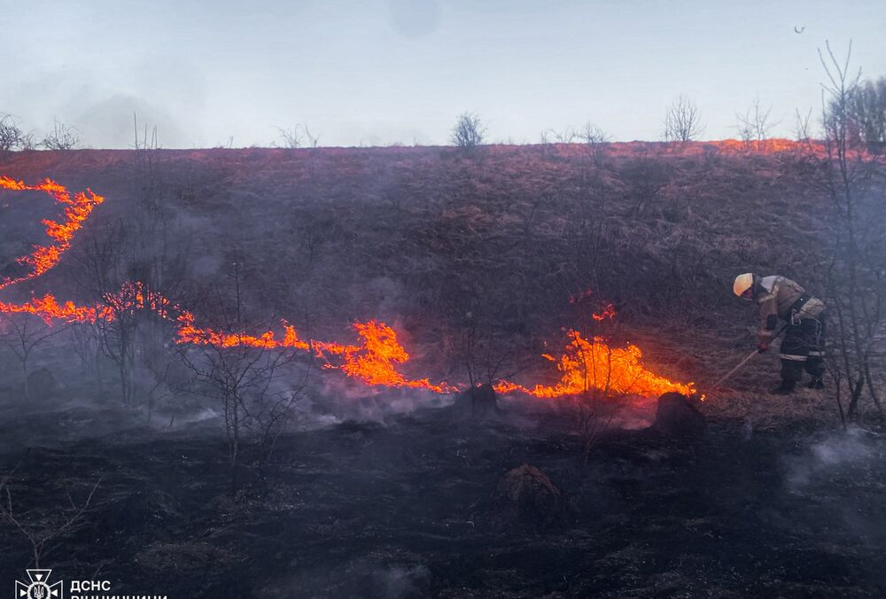 Только за сутки в Украине произошло 800 пожаров в экосистемах на площади более 620 га