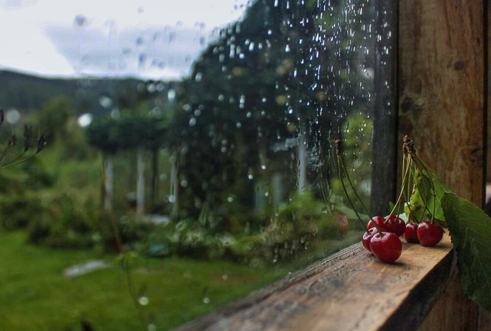 Прогноз погоди: де не варто чекати сьогодні спеки