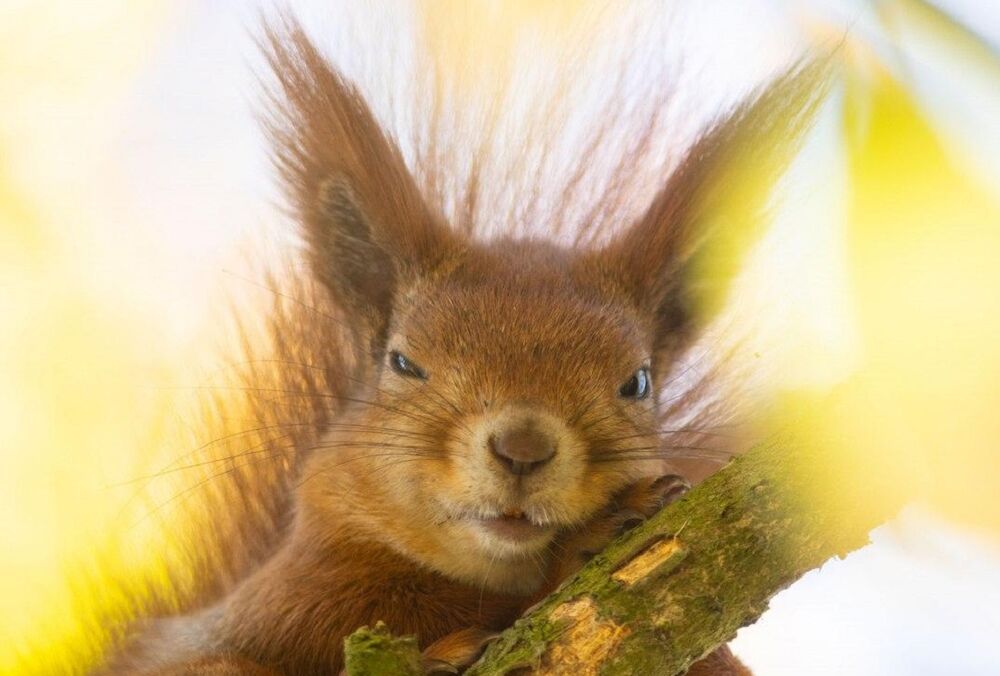 Синоптик: вересень в Україні буде теплим та посушливим