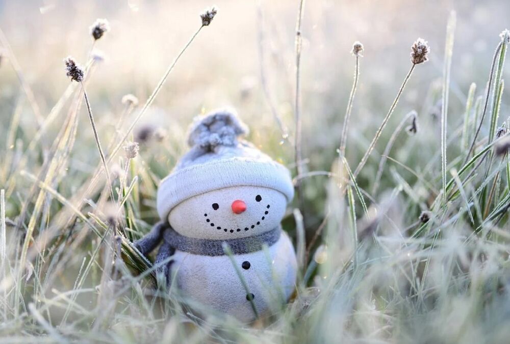 В Гидрометцентре рассказали, какая погода ожидает украинцев в начале декабря