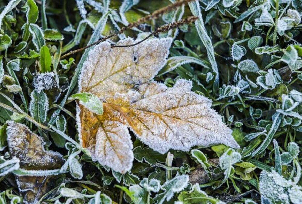 Погода в Украине: где ждать заморозков