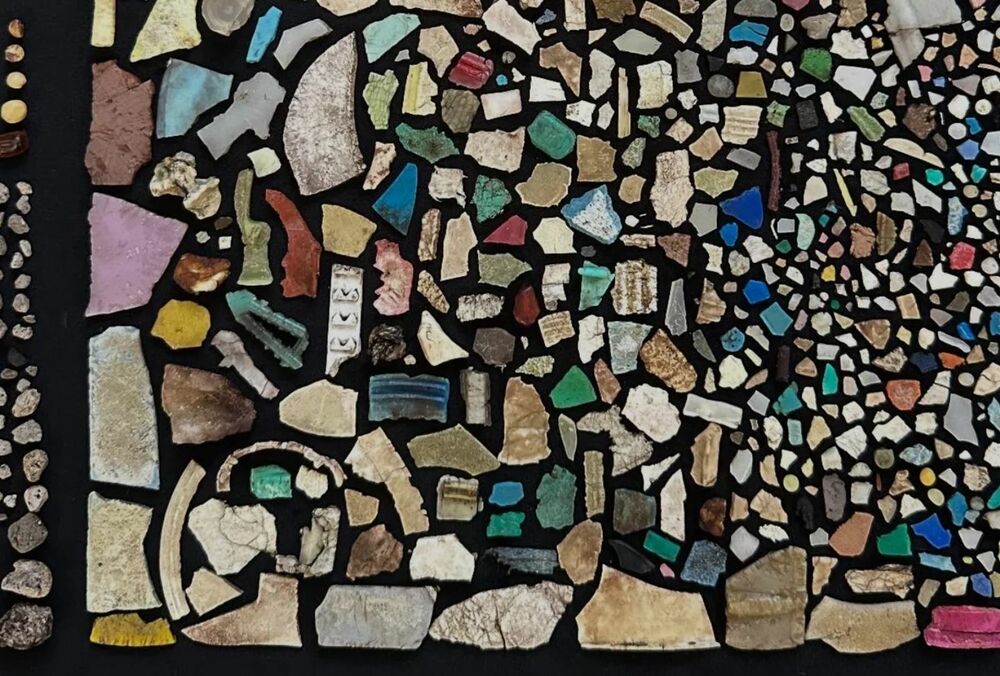 Тела птиц на крохотном острове в Тихом океане настолько забиты пластиком, что хрустят