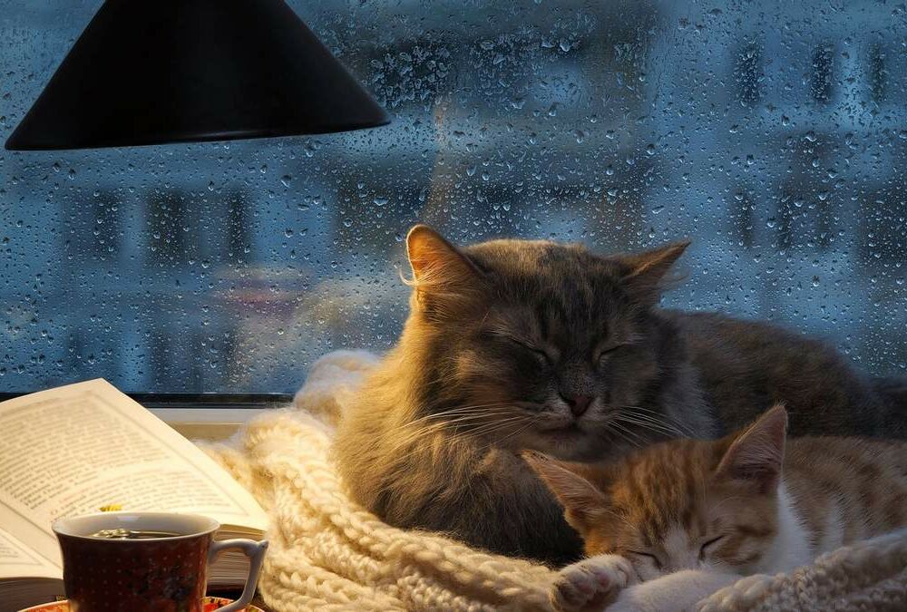 Синоптики обіцяють різке похолодання: прогноз погоди в Україні