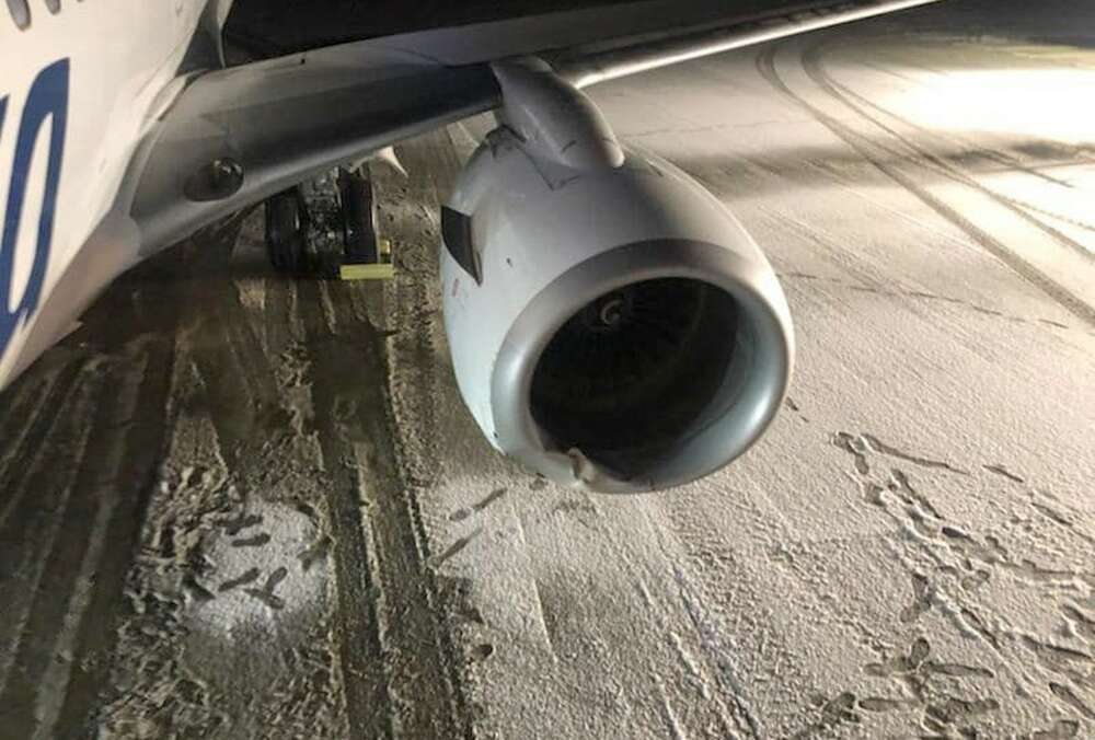 На Аляске самолет при посадке сбил медведицу, заблудившуюся с медвежонком 