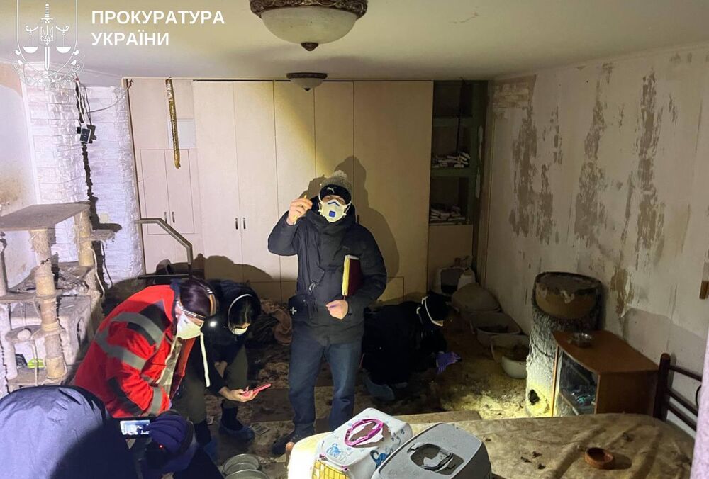 У ”притулку” Київської області загинуло понад 50 котів: тварин утримували у жахливих умовах