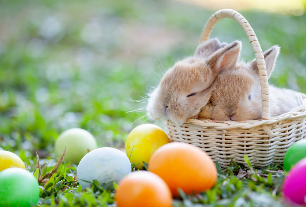 Синоптики озвучили прогноз погоди на Великдень