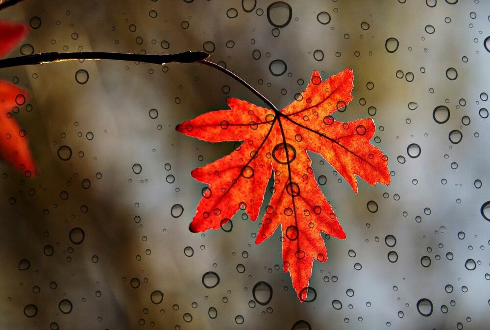 В Украину идет потепление: синоптики озвучили дату