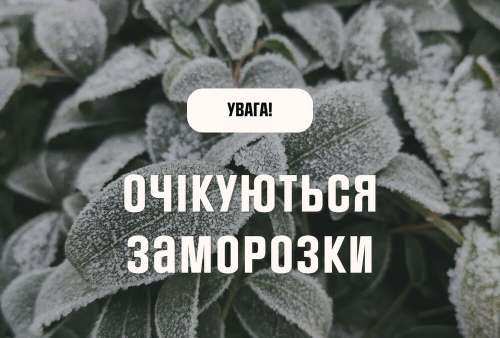 В Україну йдуть перші заморозки