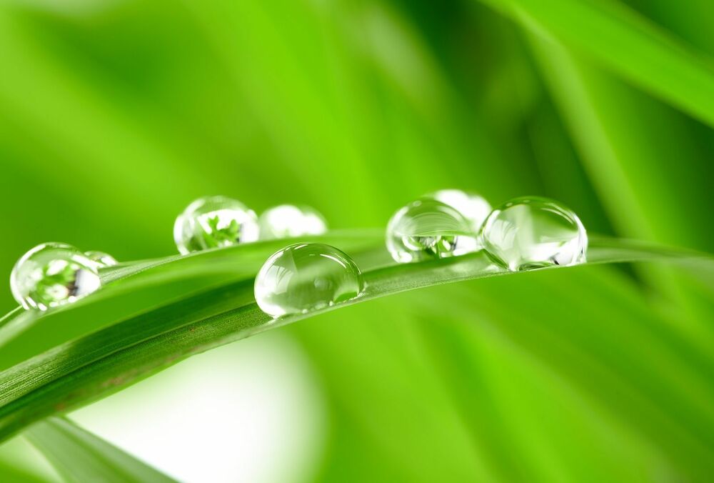 Дощовий прогноз: де в Україні очікуються зливи