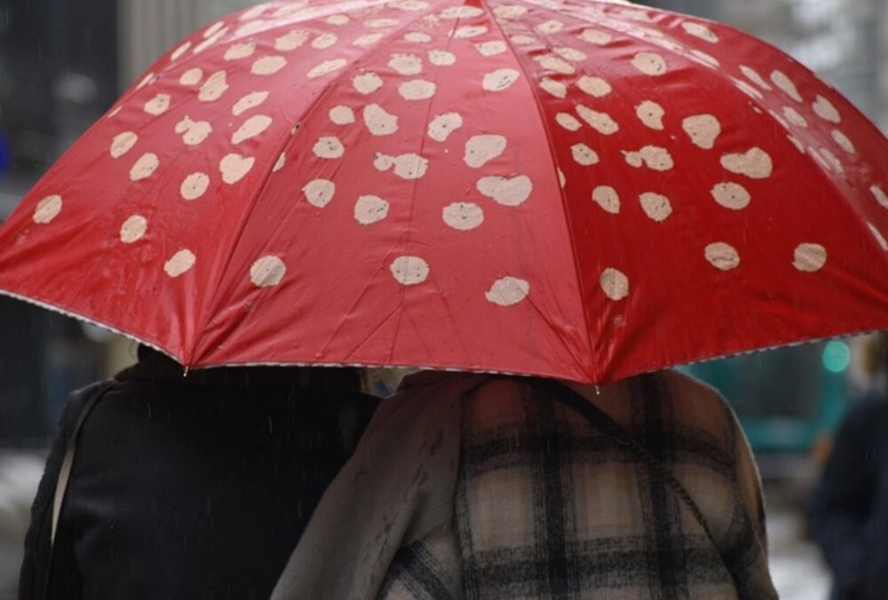 Погода в Україні: де тиждень почнеться з дощів