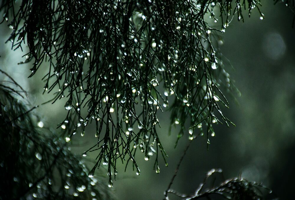 Погода в Україні: де сьогодні будуть йти дощі