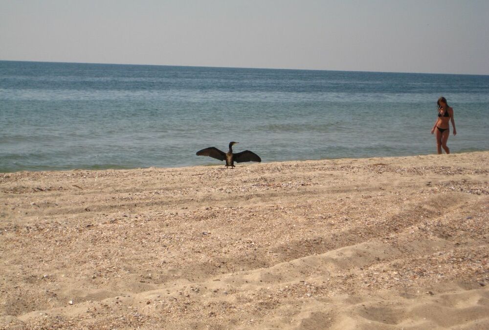 Грози припинилися: прогноз погоди в Україні