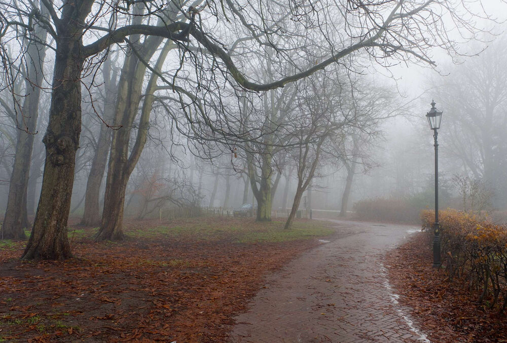 Предупреждение синоптиков: Украину окутает туманами