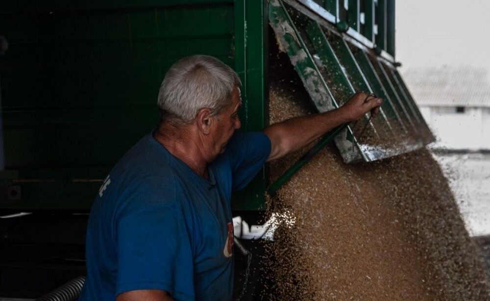 ООН: Білорусь готова без додаткових умов дозволити транзит українського зерна
