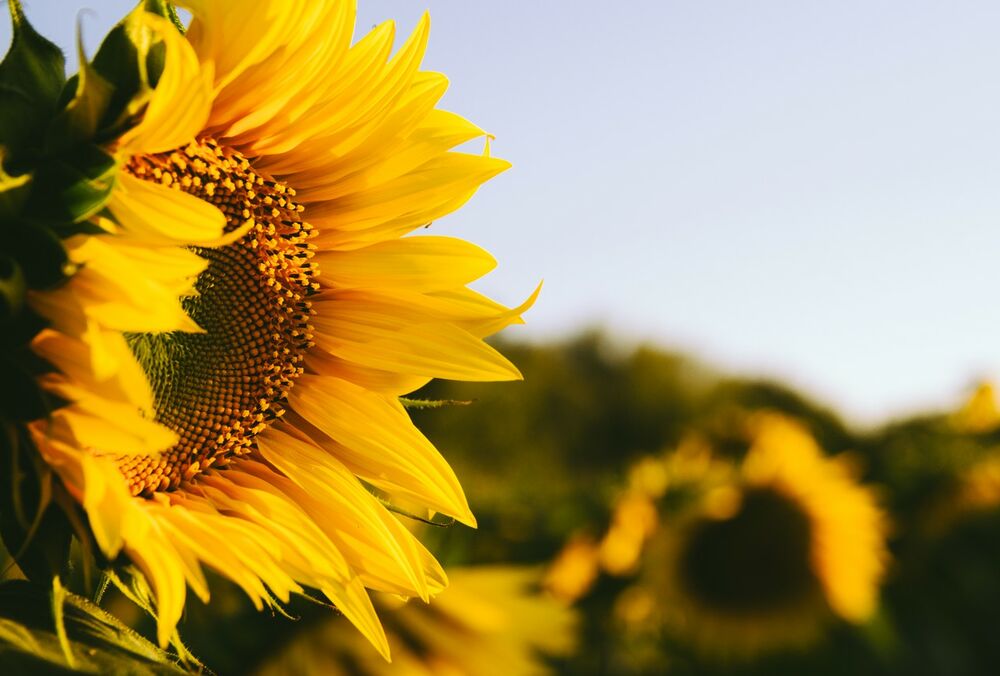 Дощі припинилися: прогноз погоди в Україні