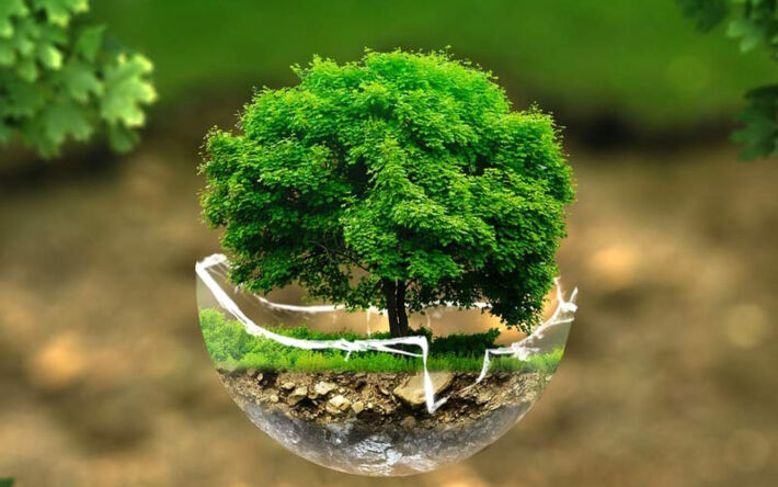 11 крупнейших экологических проблем 2021 года