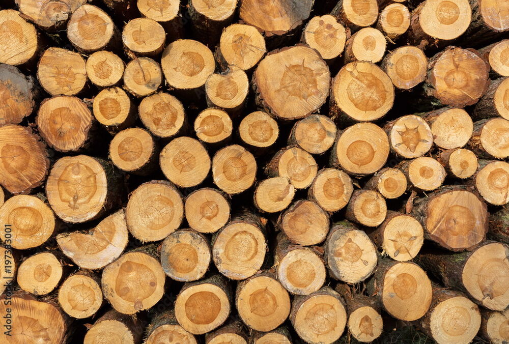 Польские таможенники блокируют грузовики с продукцией украинских деревообработчиков