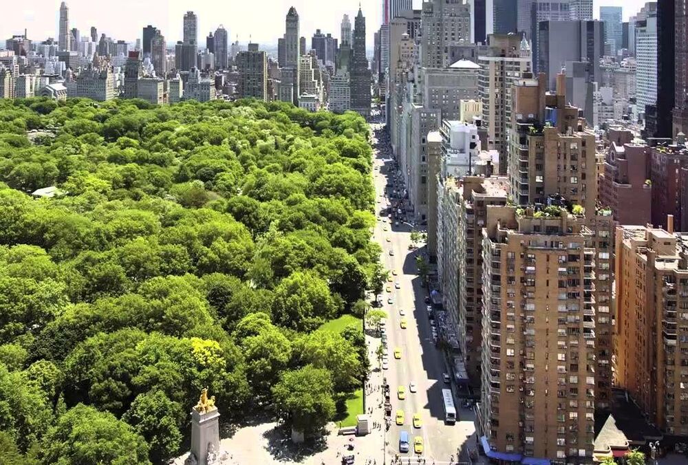 Городская экосистема. Что это такое? Городская экосистема. Что это такое?