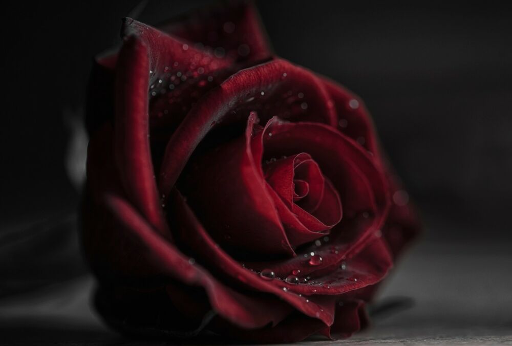 Вчені назвали найсексуальнішу групу крові