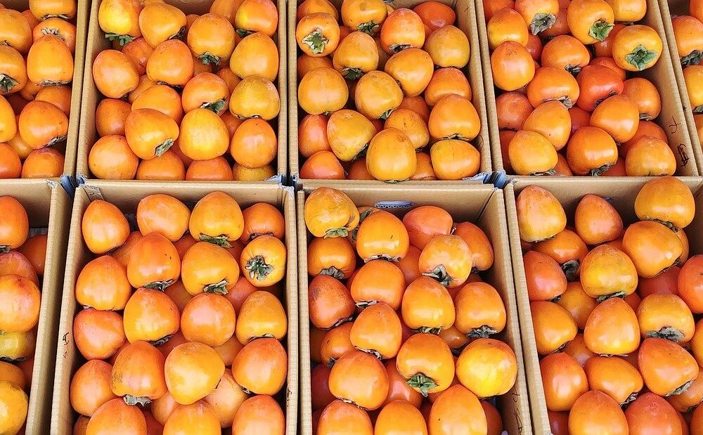 Из России в Украину везли тонны хурмы с наркотиками