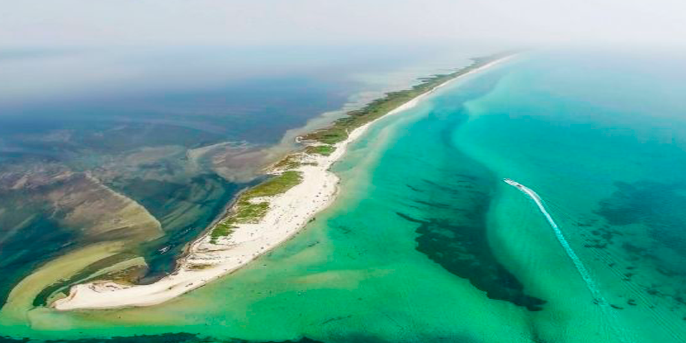 Горить заповідна Кінбурнська коса: фото