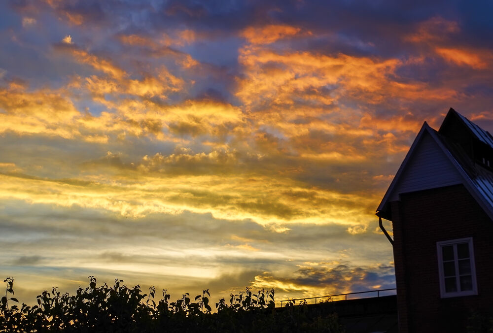 Солнечный прогноз: какой будет погода в Украине 7 декабря