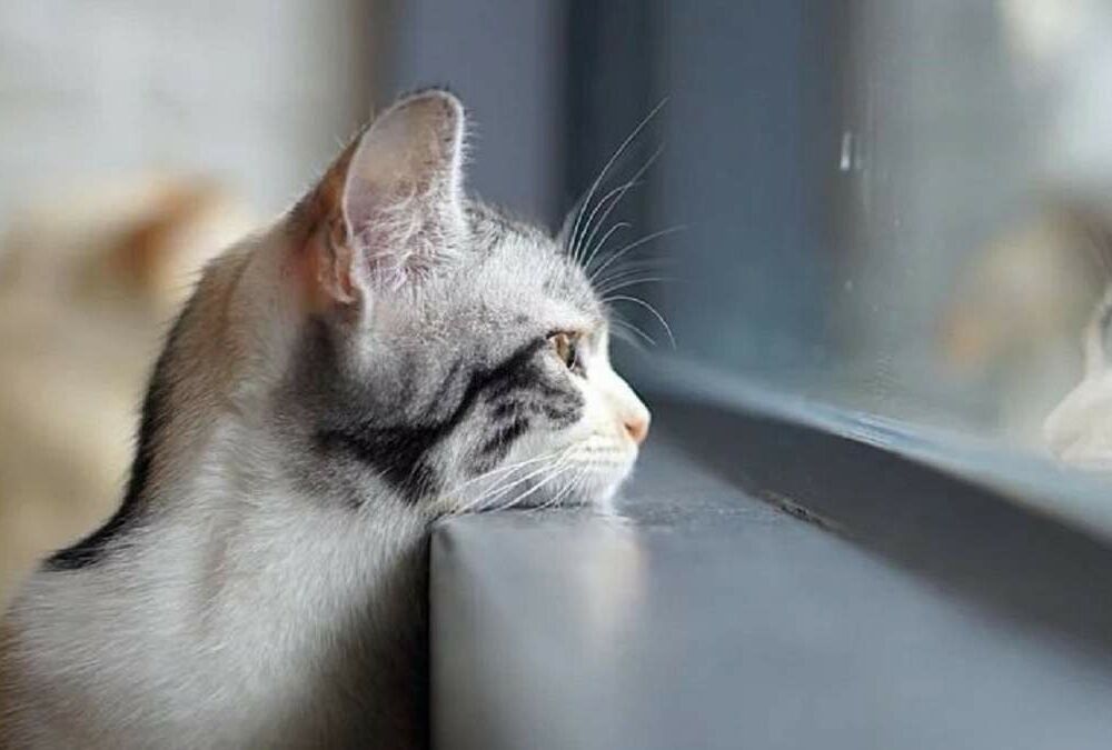 Погода в Україні: коли чекати на потепління