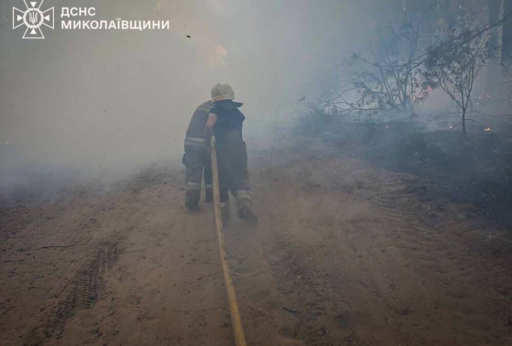 На Миколаївщині загасили масштабну лісову пожежу