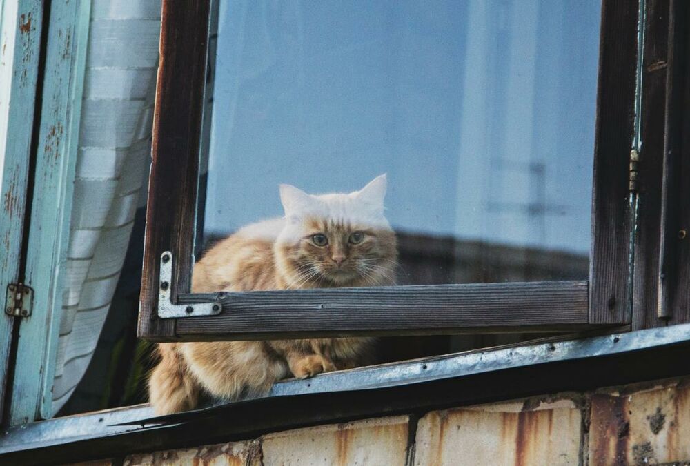 Последнее воскресенье лета: какой будет погода Последнее воскресенье лета: какой будет погода