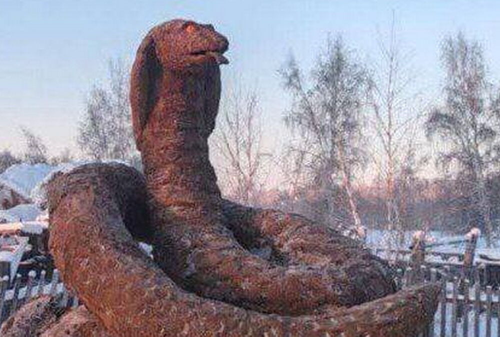 В России из навоза слепили гигантскую змею