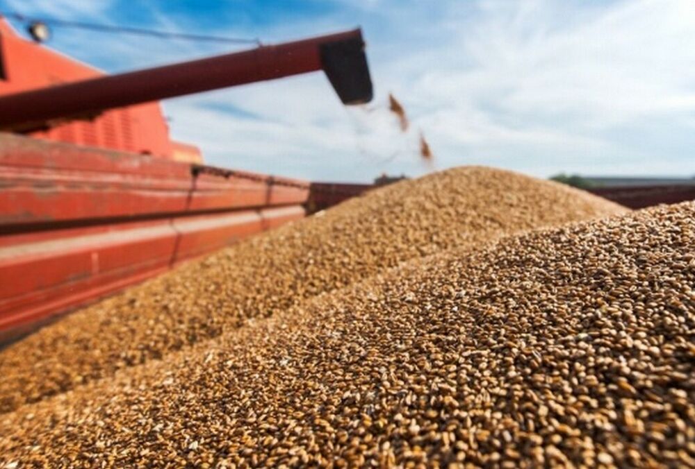 Росія може заблокувати продовження ”зернової угоди”: названо умову Росія може заблокувати продовження ”зернової угоди”: названо умову