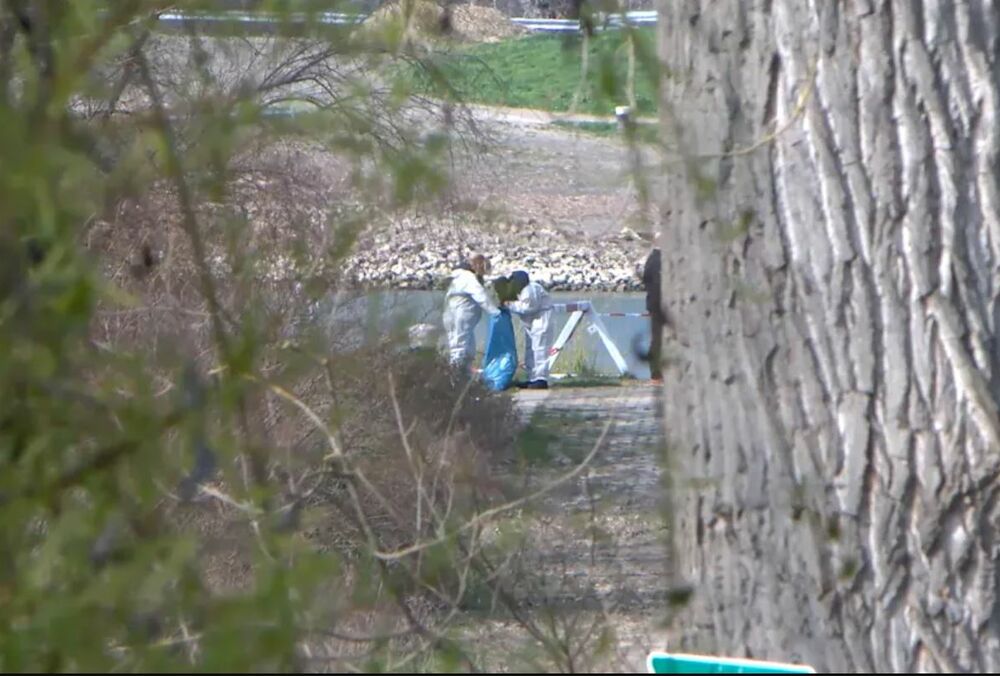 В Германии убили украинку, ее мать и новорожденную дочь ищут