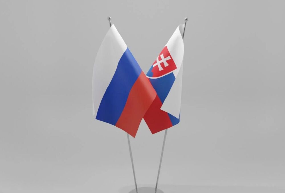 МЗС Словаччини звинувачує РФ у втручанні у вибори