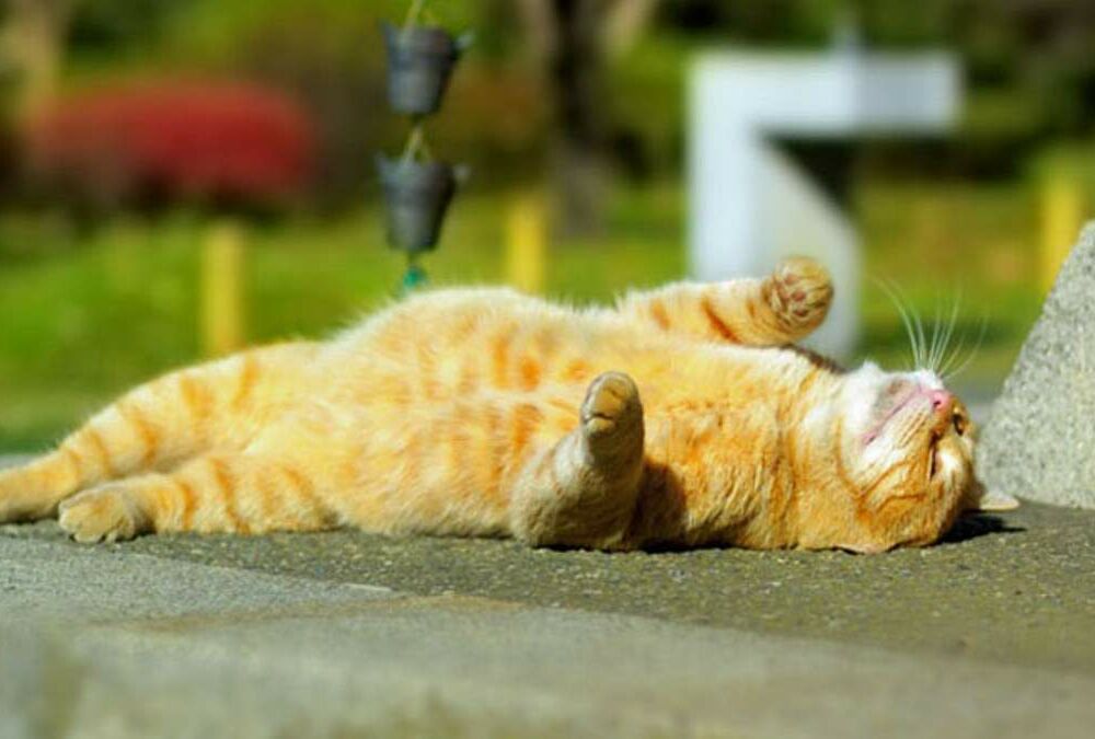 Прогноз погоды: синоптики обещают повышение температуры в Украине Прогноз погоды: синоптики обещают повышение температуры в Украине