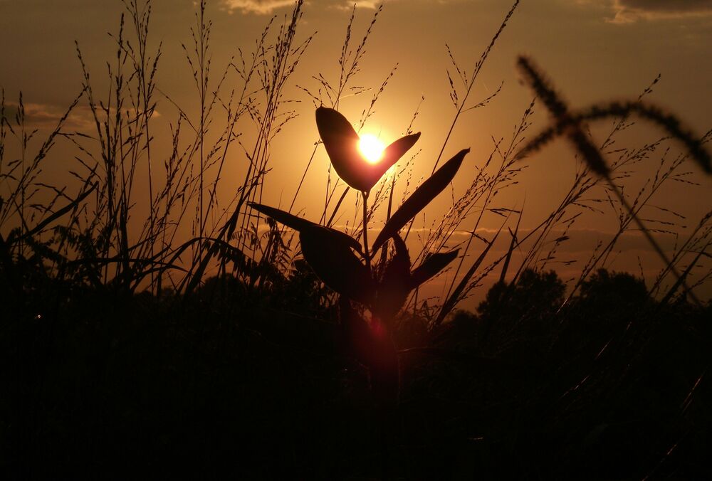 Синоптик рассказала, когда в Украину вернется сильная жара