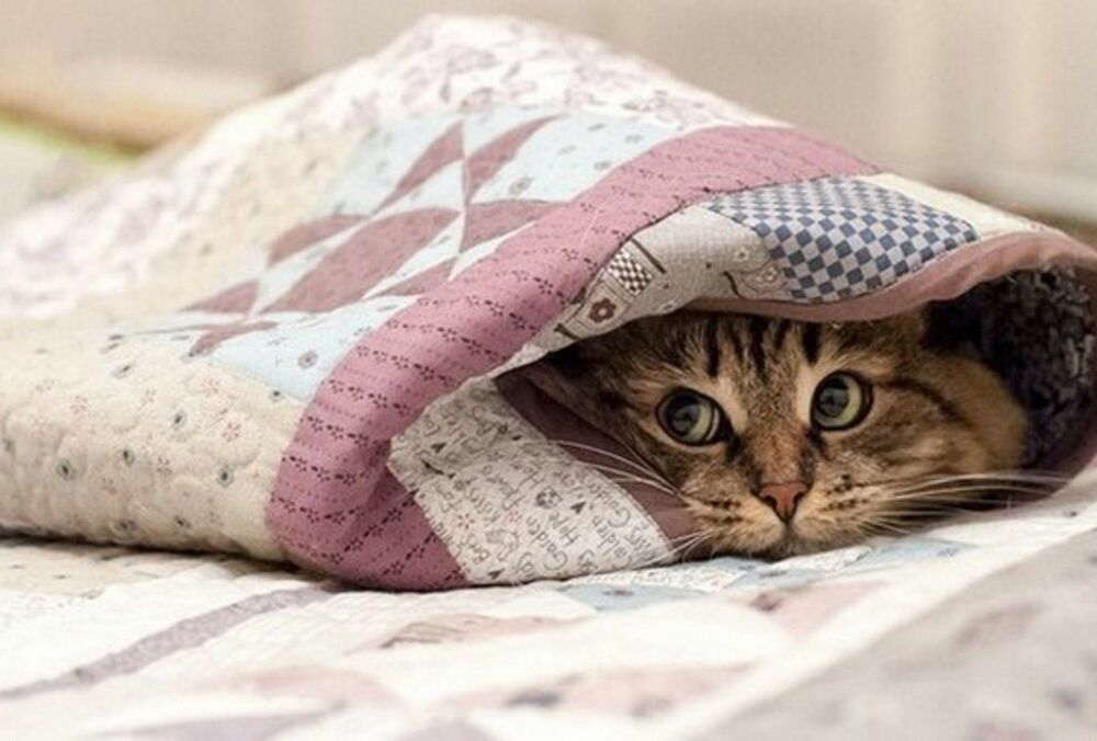 Синоптик попередила українців про різке похолодання Синоптик попередила українців про різке похолодання