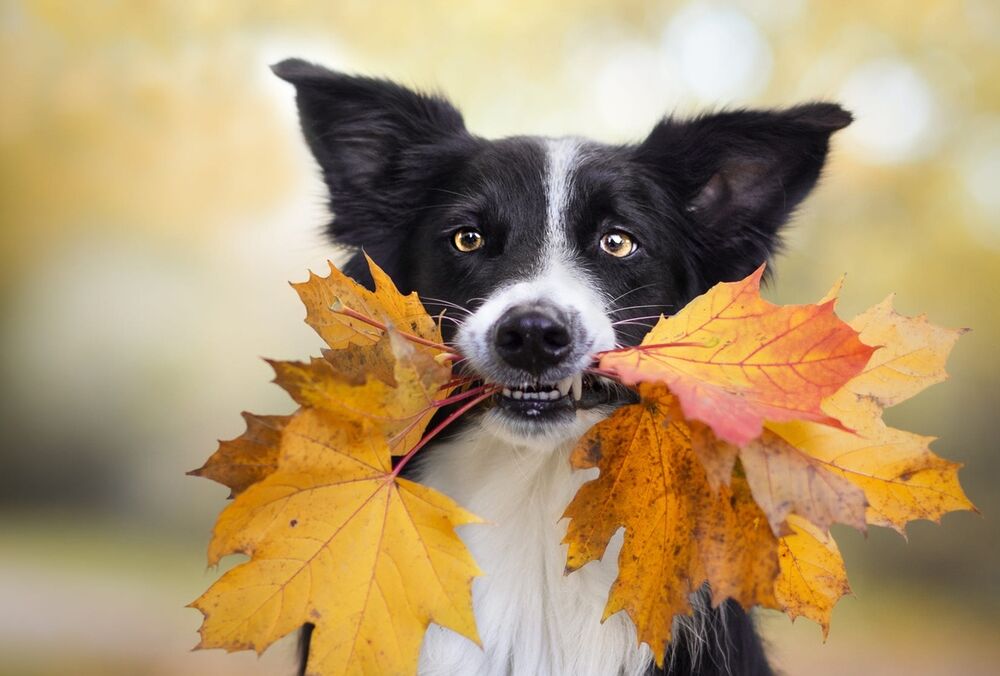 Погода в Україні: коли стане тепліше