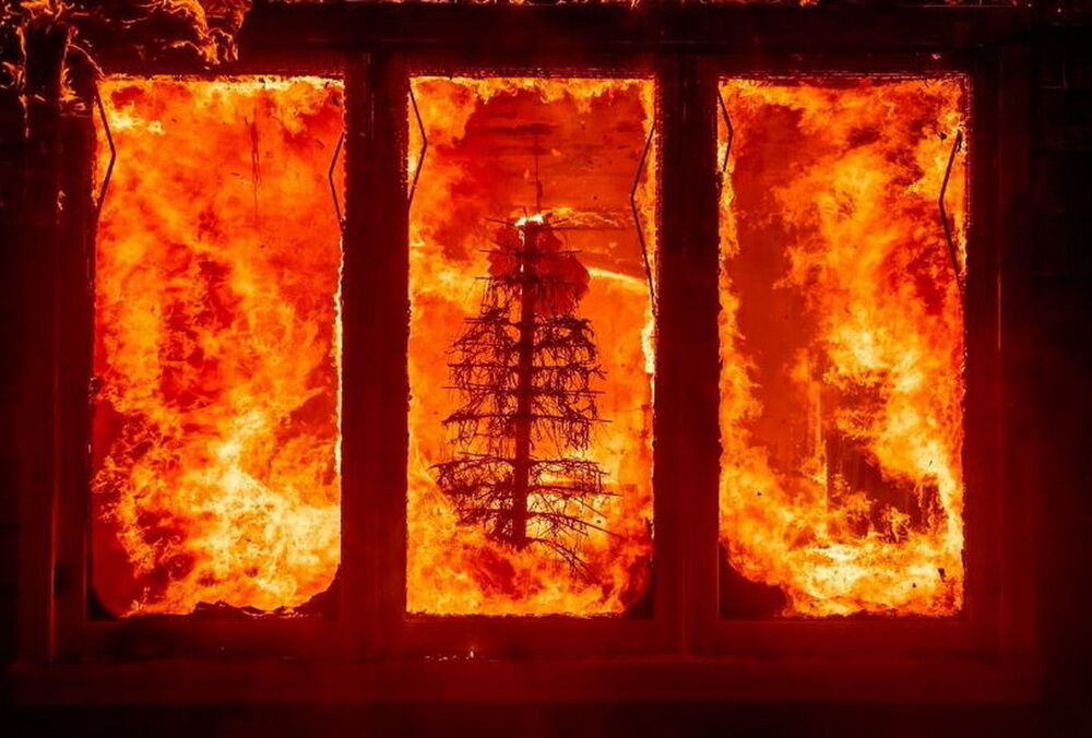 Лесные пожары в Лос-Анджелесе: кто из знаменитостей потерял свой дом