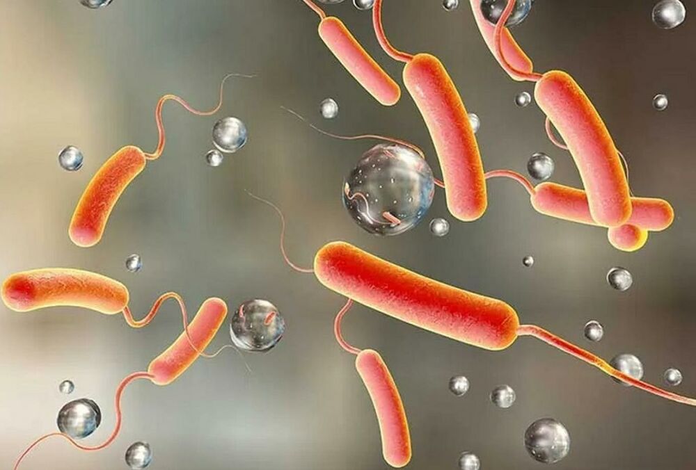 В оккупированных Скадовске и Геническе растет заболеваемость холерой