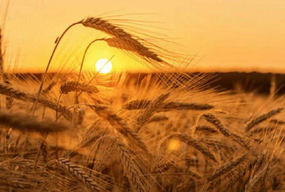 Прогноз погоди: які регіони накриє похолодання