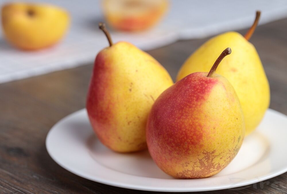 Осінні ласощі: користь і шкода груші