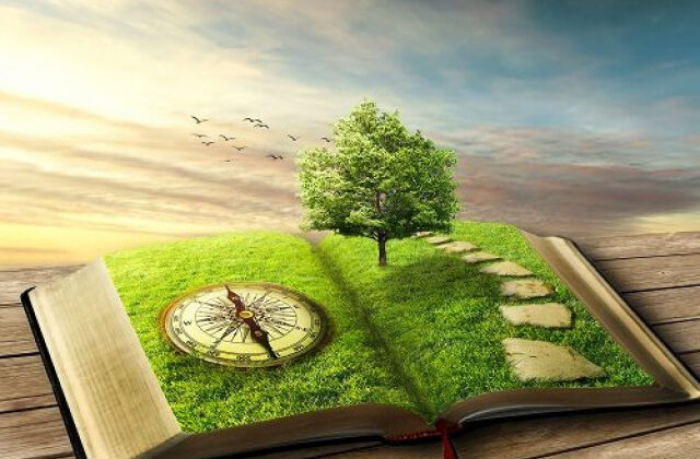 Что такое экология?