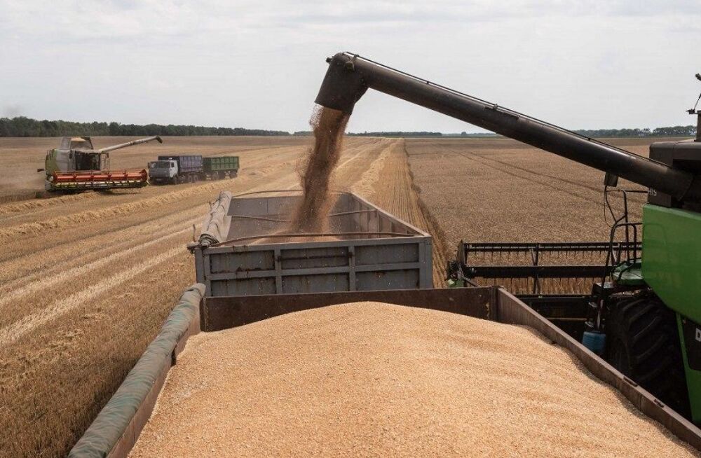 Хорватия предложила Украине новый маршрут для экспорта зерна