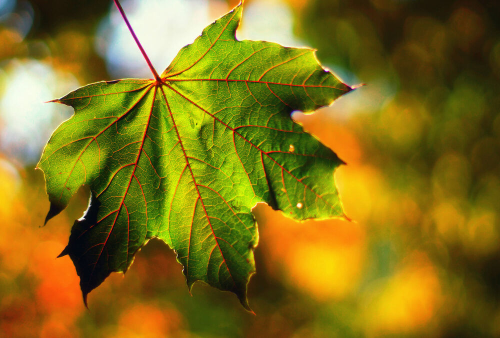 Погода в Україні: яким буде останній день вересня