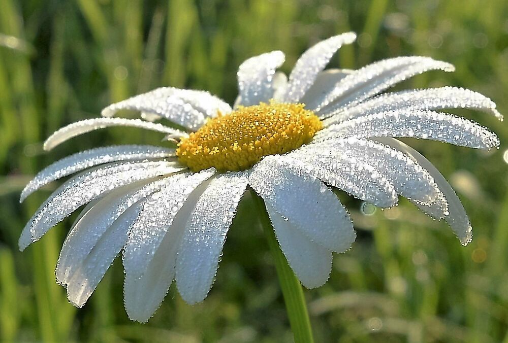 Прогноз погоды: где в Украине прекратятся грозы