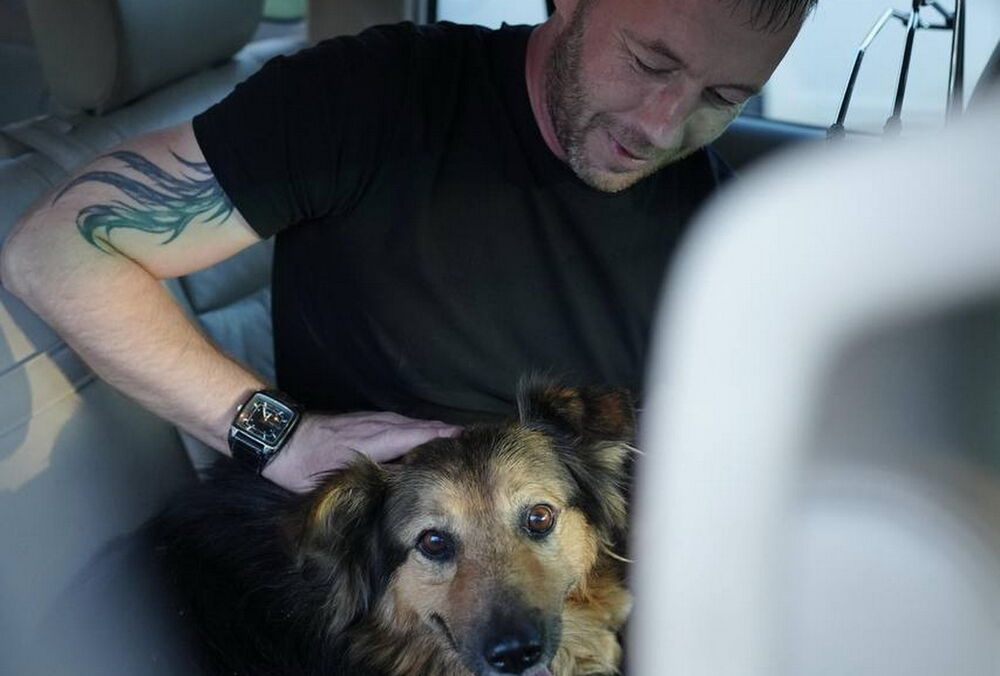 Собака Джессі, що стала відомою після обстрілу Києва 28 серпня, знайшла дім - її забрав син загиблого